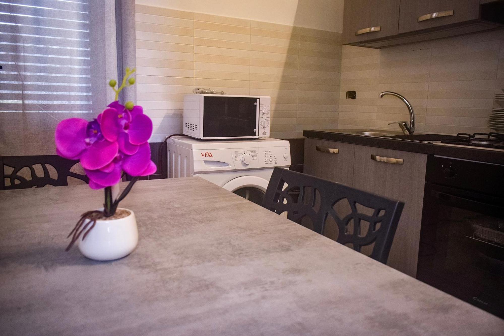 Lulu Apartment 巴勒莫 外观 照片